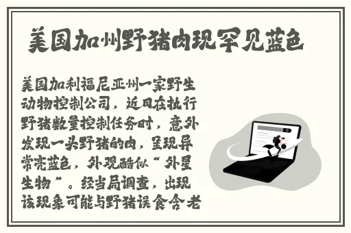 17c吃瓜网官